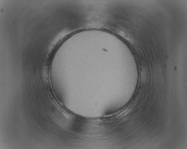 X0000067841454200604271607