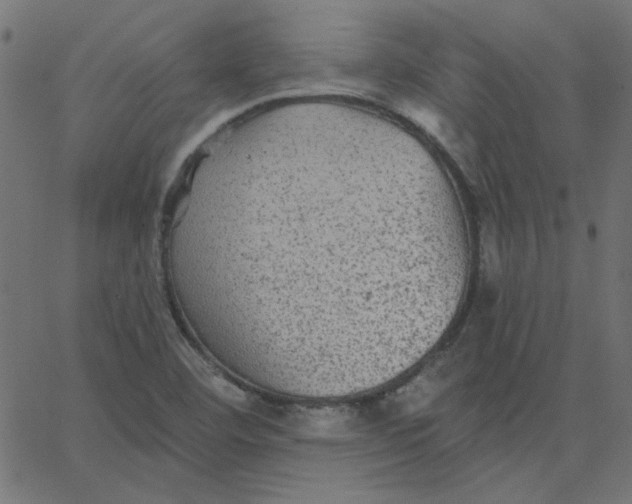 X0000067841460200604271607