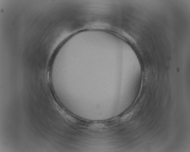 X0000067841462200604271607