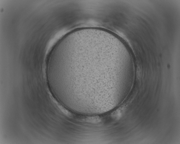 X0000067841464200604271607