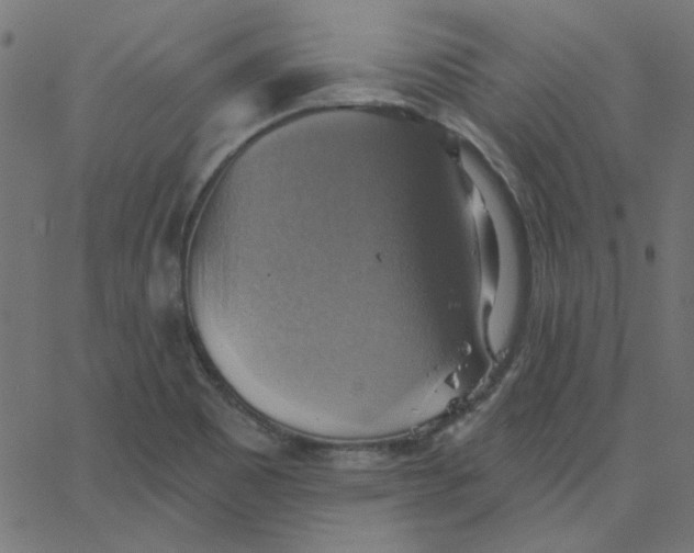 X0000067841465200604271607