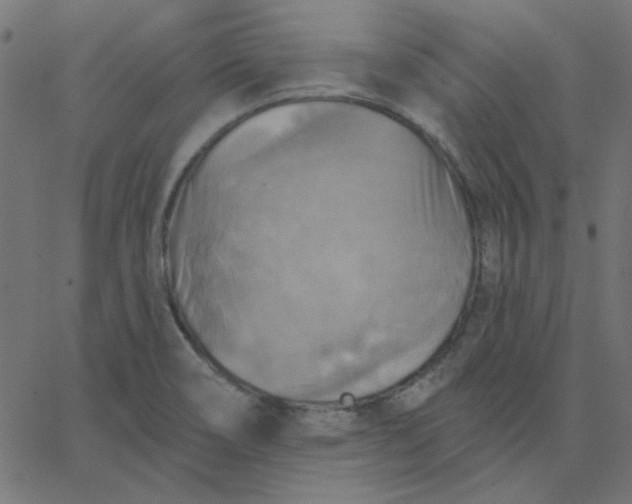 X0000067841466200604271607