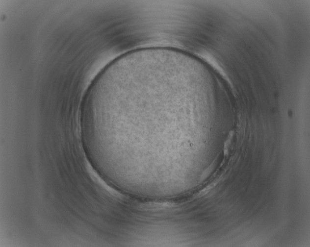 X0000067841468200604271607