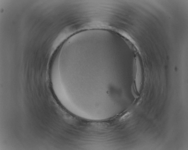 X0000067841469200604271607