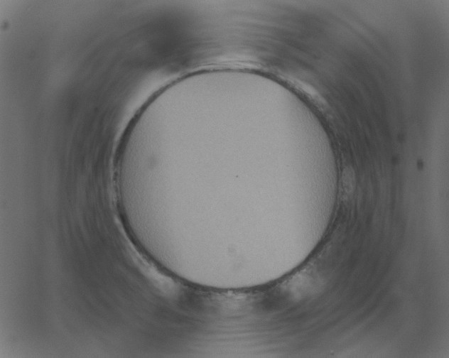 X0000067841470200604271607