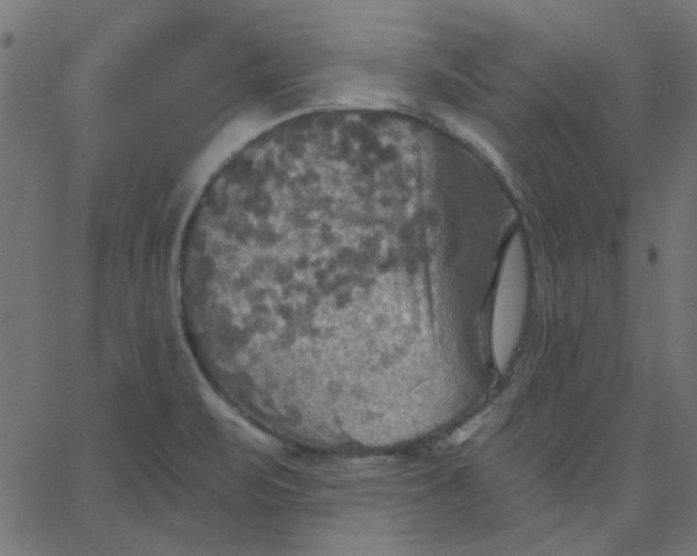 X0000067841471200604271607