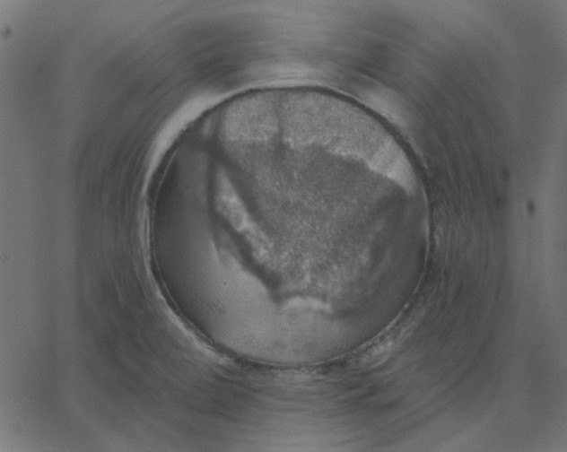 X0000067841472200604271607