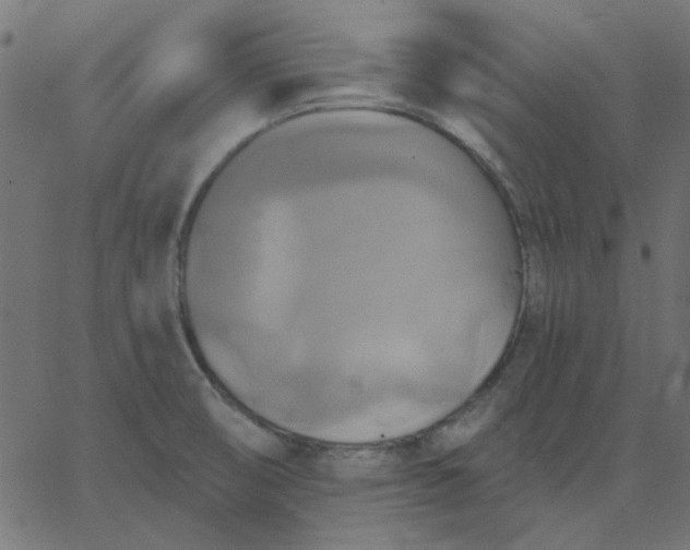 X0000067841474200604271607