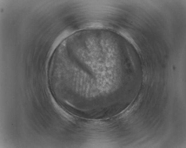 X0000067841475200604271607