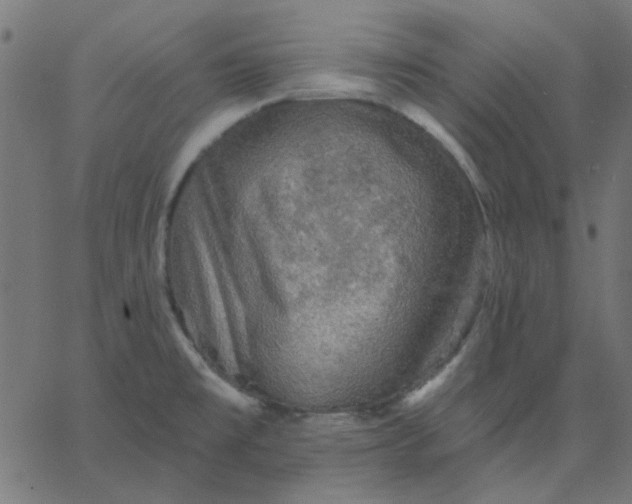 X0000067841477200604271607