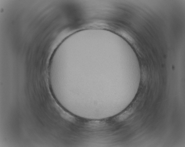 X0000067841478200604271607