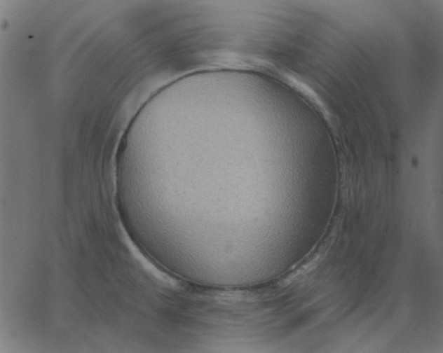 X0000067841479200604271607