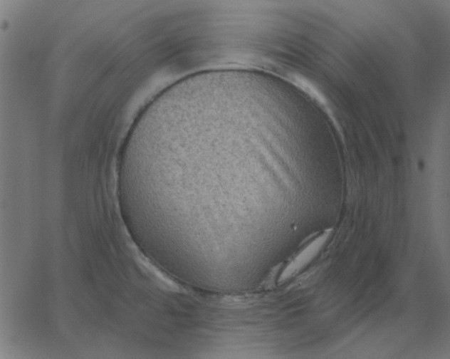 X0000067841480200604271607