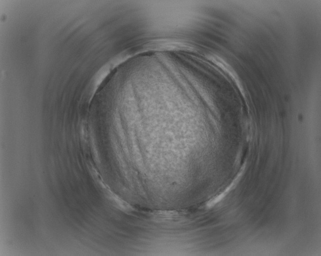 X0000067841481200604271607