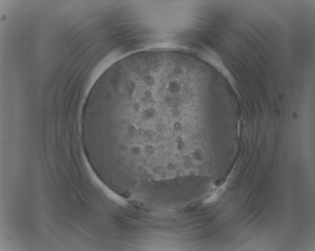 X0000067841483200604271607