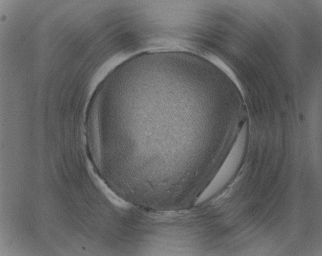 X0000067841485200604271607