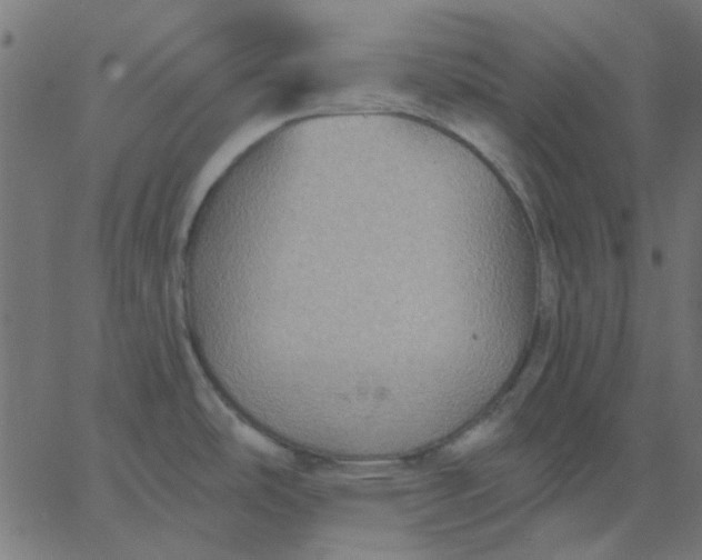 X0000067841486200604271607