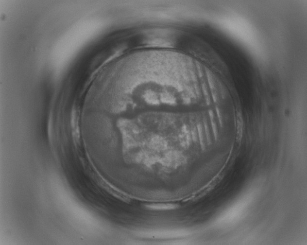 X0000067841487200604271607