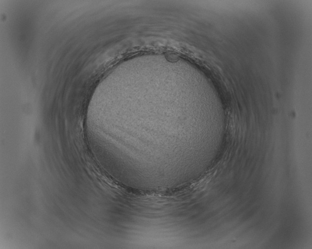 X0000067841489200604271606