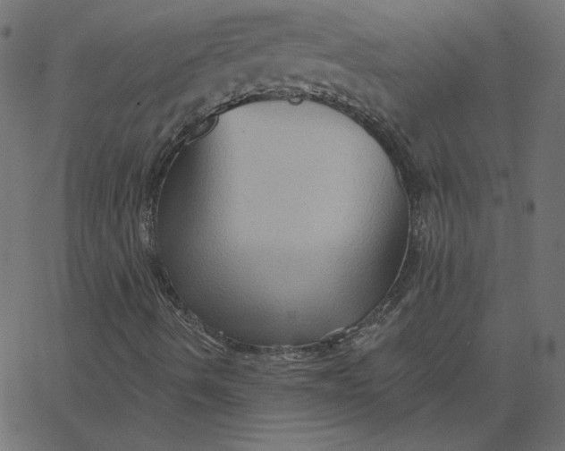 X0000067841490200604271606