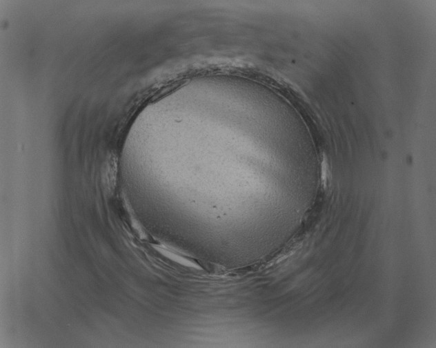 X0000067841492200604271606