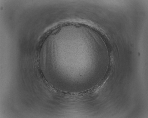 X0000067841494200604271606