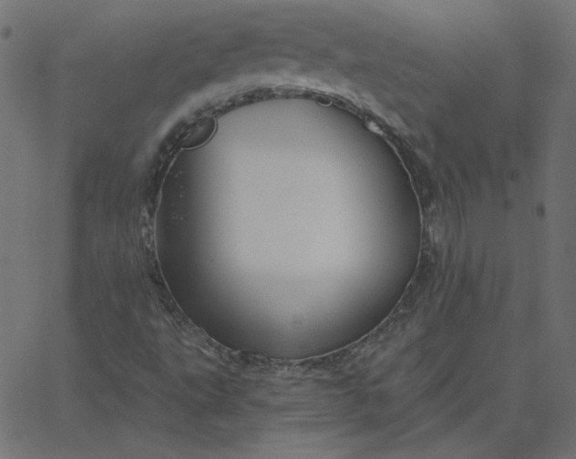 X0000067841495200604271606