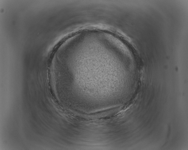 X0000067841496200604271606