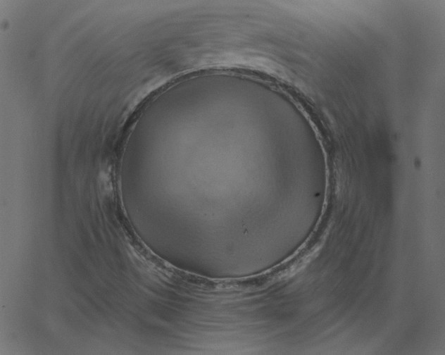 X0000067841497200604271606