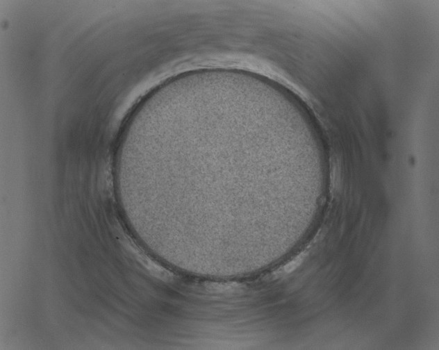 X0000067841498200604271606