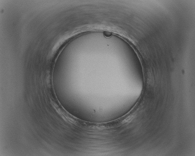 X0000067841499200604271606