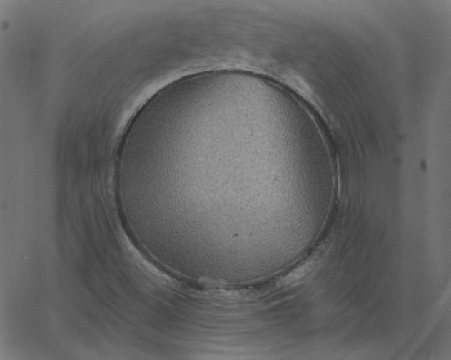 X0000067841500200604271606