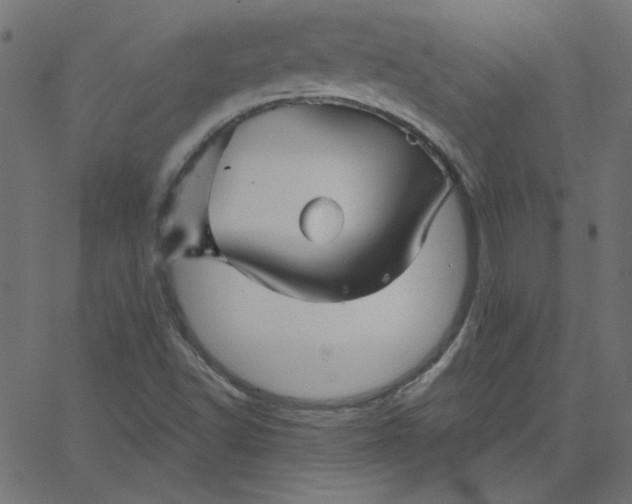 X0000067841502200604271606