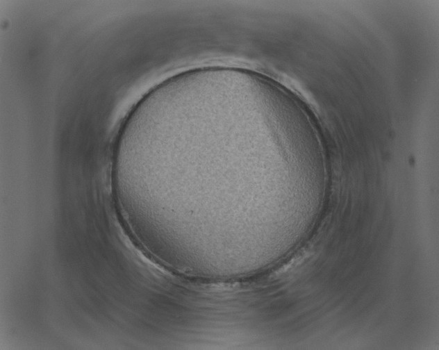 X0000067841504200604271606