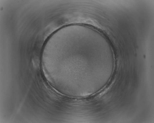 X0000067841505200604271606