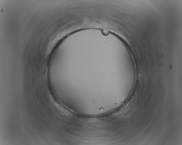 X0000067841507200604271606