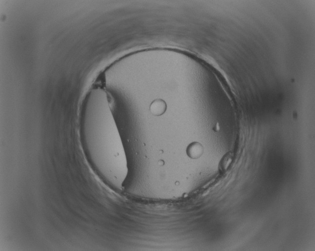 X0000067841508200604271606