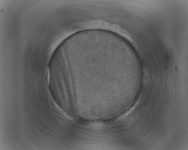 X0000067841509200604271606