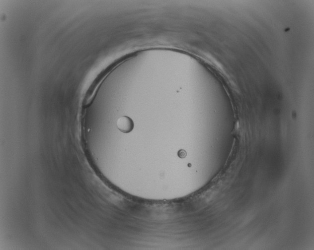 X0000067841512200604271606