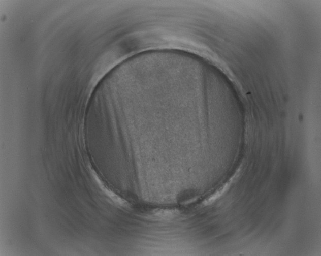 X0000067841513200604271606