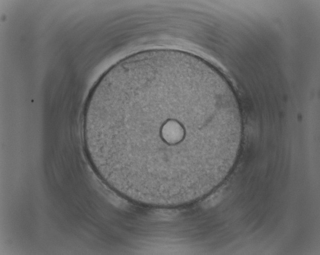 X0000067841514200604271606