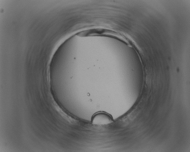 X0000067841516200604271606