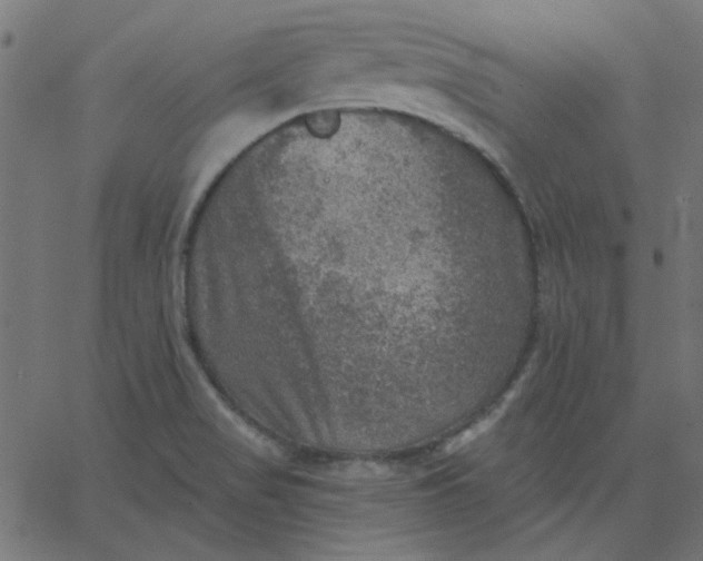 X0000067841517200604271606