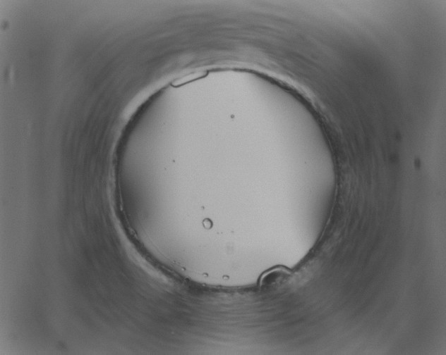 X0000067841518200604271607