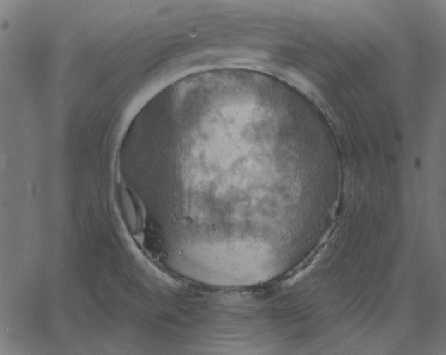 X0000067841520200604271607