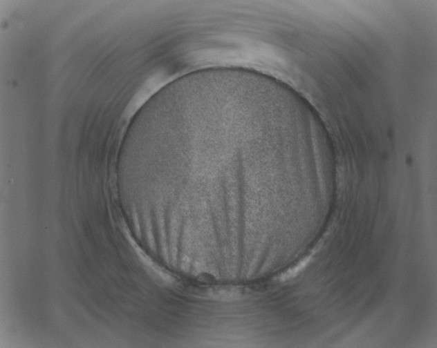 X0000067841521200604271607