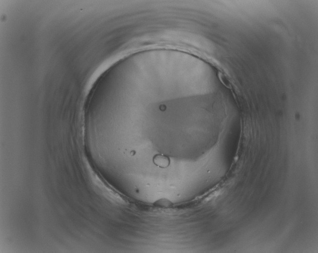 X0000067841522200604271607