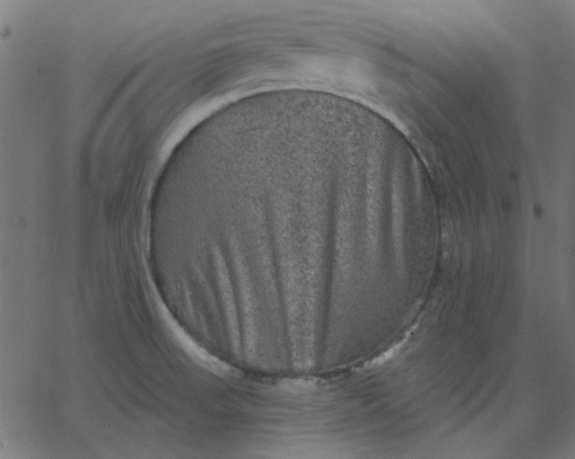 X0000067841523200604271607