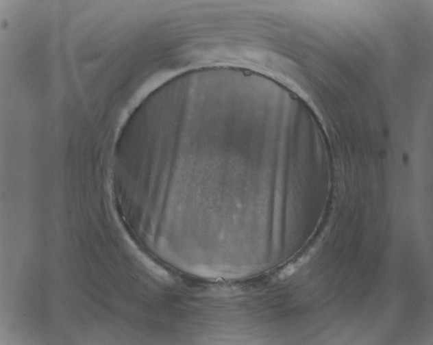 X0000067841525200604271607