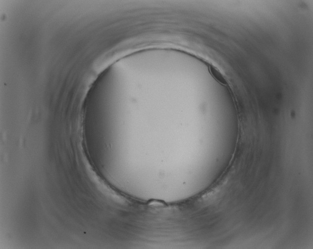 X0000067841526200604271607